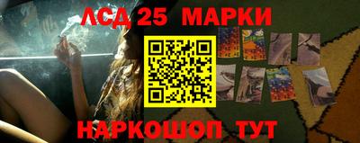 индика Камень-на-Оби