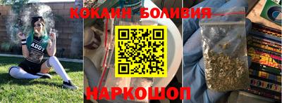 индика Камень-на-Оби