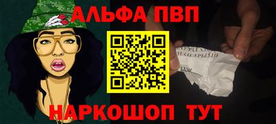 индика Камень-на-Оби