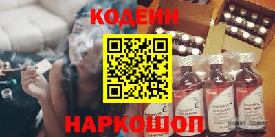 индика Камень-на-Оби