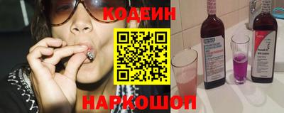 индика Камень-на-Оби