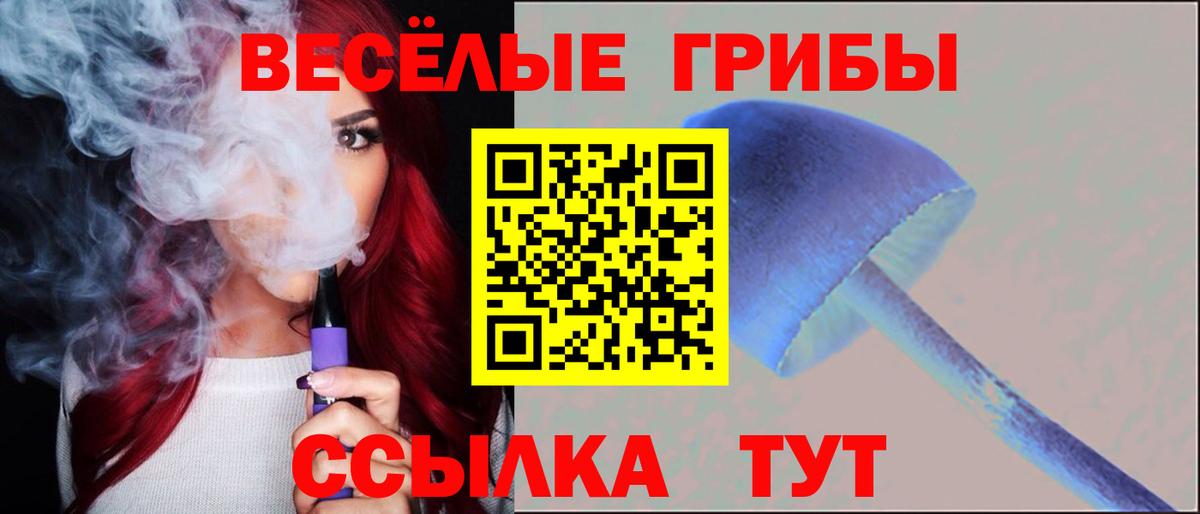 продажа наркотиков  Вход с VPN  Псилоцибиновые грибы Cubensis  Ахтубинск  Псилоцибиновые грибы MAGIC MUSHROOMS 