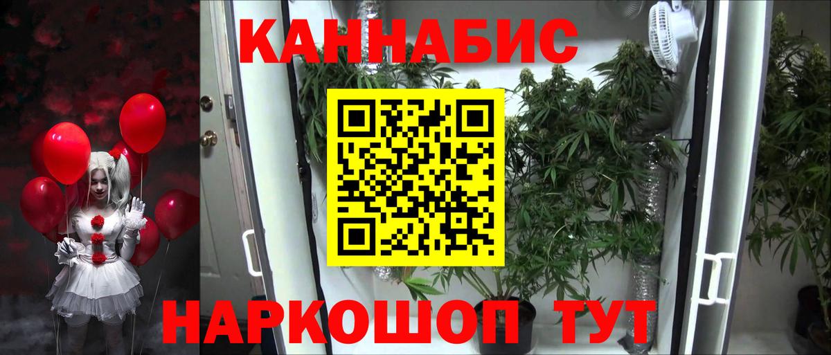 Каннабис сатива Ахтубинск